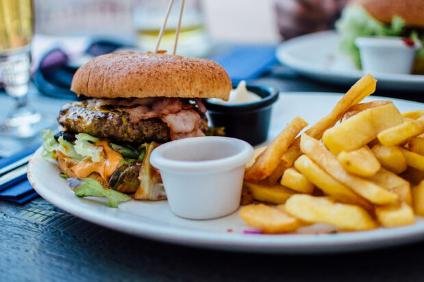 A plate holding a burger and fries.